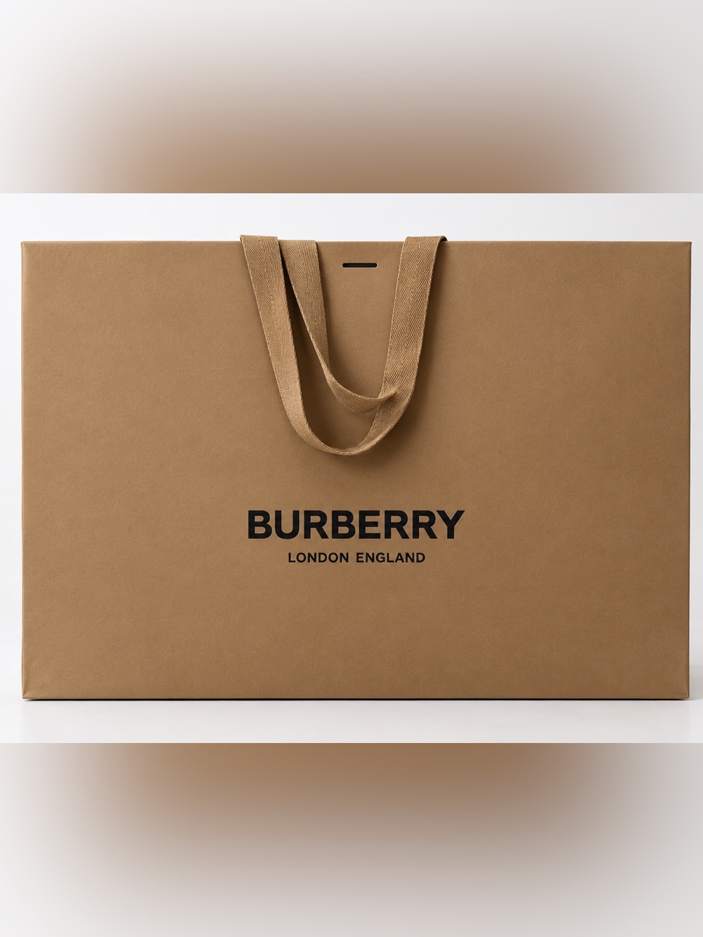 Large Burberry Paper Bag